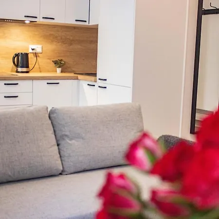 Lägenhet Przytulne Mieszkanie W Centrum